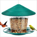 Comedouro de Pássaros Acrílico